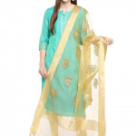 Woman's Leheria Chiffon Dupatta